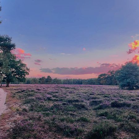 Sluwe Vos: Ontspannen In Het Bos! Otterlo Bagian luar foto