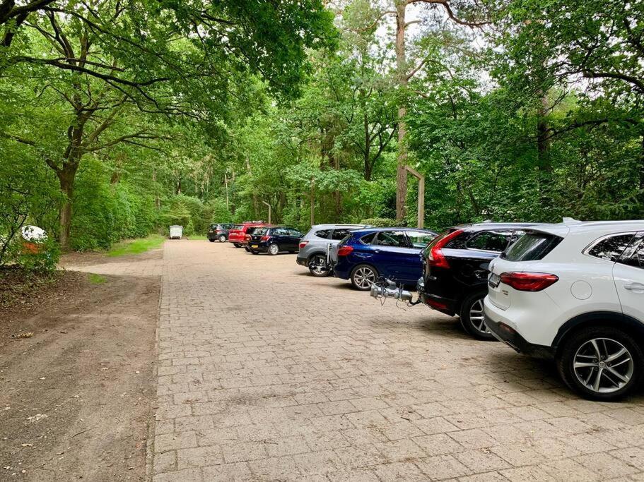 Sluwe Vos: Ontspannen In Het Bos! Otterlo Bagian luar foto
