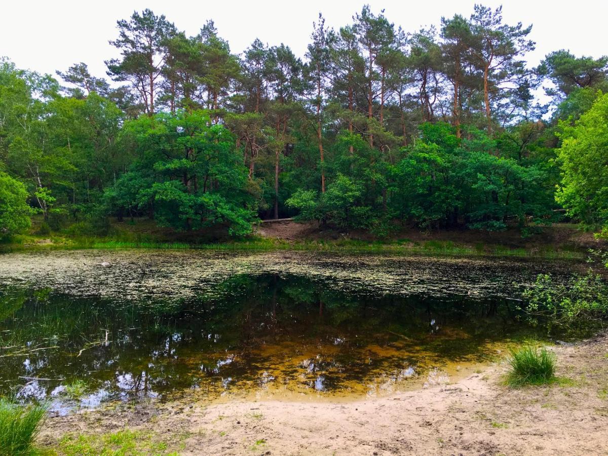 Sluwe Vos: Ontspannen In Het Bos! Otterlo Bagian luar foto